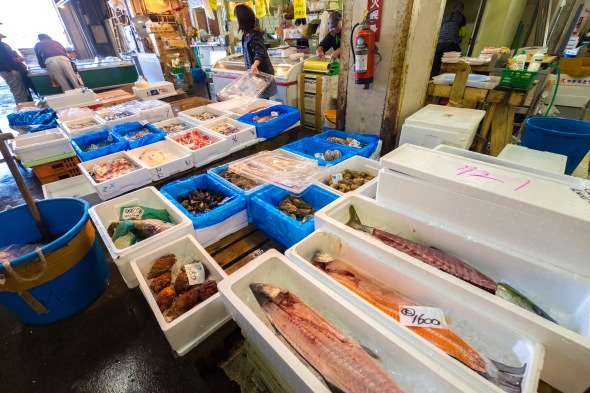 Produk perikanan laut di Pasar Grosir Kota Mito, Ibaraki, Jepang. Foto: Kristupa Saragih